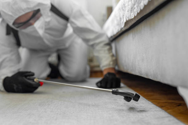 Professional Cockroach Control technician working in Calais, ME