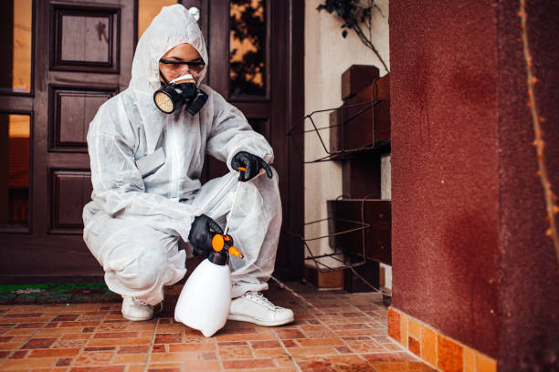 Reliable Cockroach Control contractor in Calais, ME by Nex Pest Control